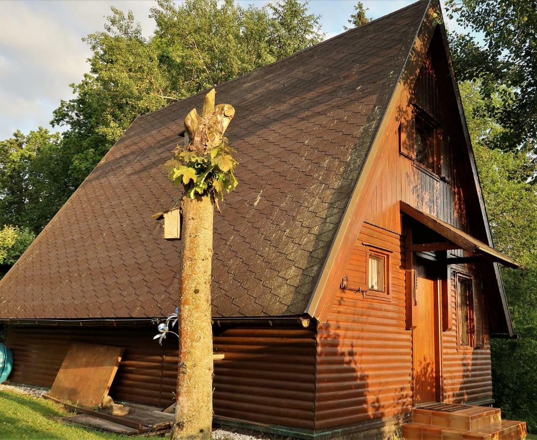 Ferienhaus Ederer Waldmünchen Kültér fotó