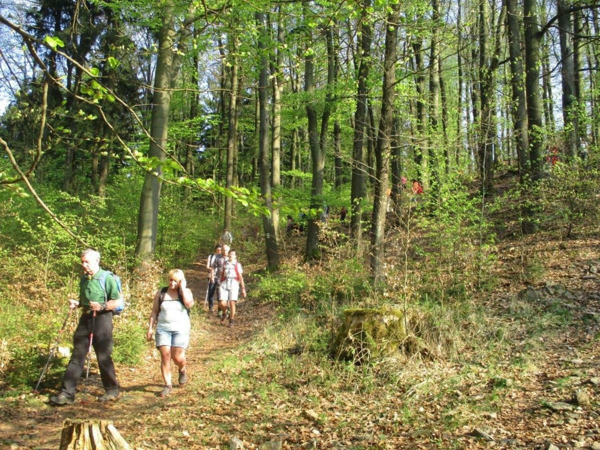 Ferienhaus Ederer Waldmünchen Kültér fotó