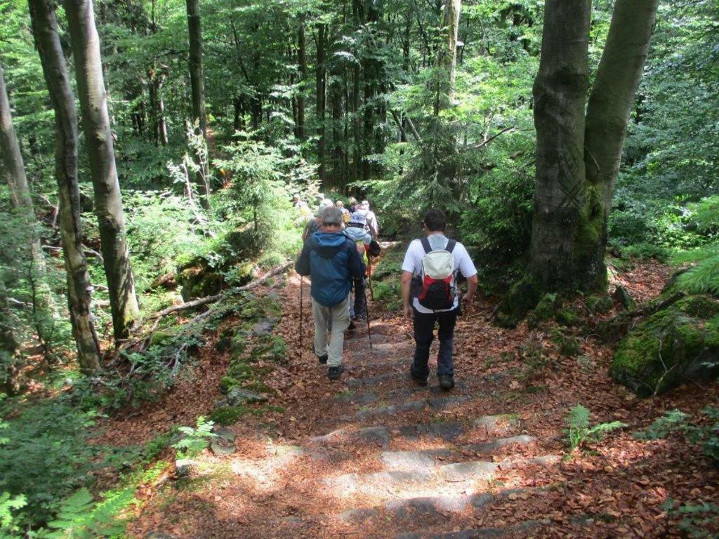 Ferienhaus Ederer Waldmünchen Kültér fotó